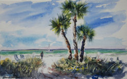 Private Beach, Siesta Key